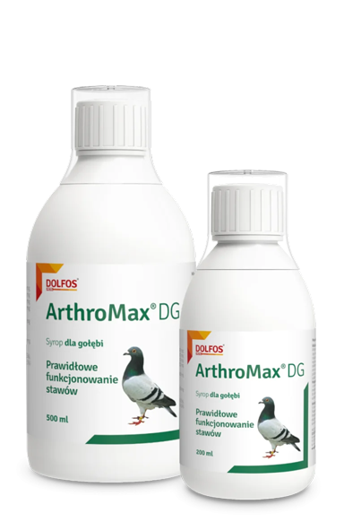 ArthroMax DG